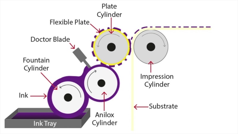 quy trình in flexography 